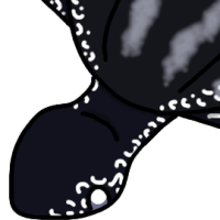 Thumbnail for ANI-4914: Chuckwa