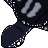 Thumbnail for ANI-4915: Stella