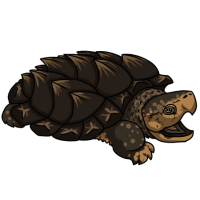 Thumbnail for ANI-4918: Behemoth (Macrochelys temminckii)