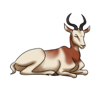 Thumbnail image for ANI-1411: Demure (N. d. ruficollis)