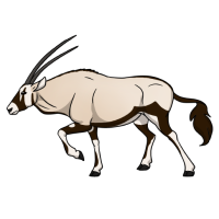 Thumbnail for ANI-4924: Gemsbok (F)