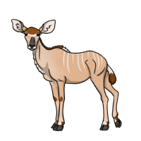 Thumbnail for ANI-4927: Greater Kudu (T. s. chora)