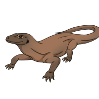 Thumbnail for ANI-4932: Komodo Dragon (F)