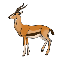 Thumbnail for ANI-4938: Thomson's Gazelle (M)