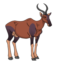 Thumbnail for ANI-4940: Topi (F)