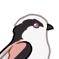 Thumbnail for ANI-4947: Flick