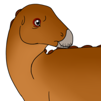 Thumbnail for ANI-4954: Barry