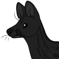 Thumbnail for ANI-4960: Shayne