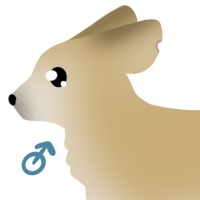 Thumbnail for ANI-4965: Fennec Fox (M)