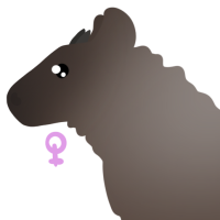 Thumbnail for ANI-4969: Japanese Serow (F)