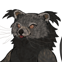 Thumbnail for ANI-4972: Binturong (F)