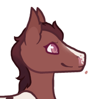 Thumbnail for ANI-4975: Domestic Horse Appaloosa  (F)