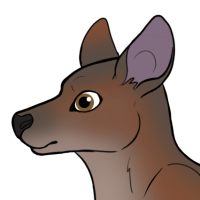 Thumbnail for ANI-4978: Red Necked Wallaby (F)