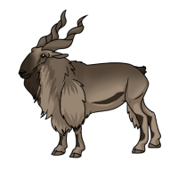 Thumbnail for ANI-4983: Markhor (M)