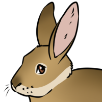 Thumbnail for ANI-4986: European Rabbit (M)
