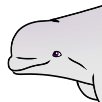 Thumbnail for ANI-4988: Beluga Whale (F)