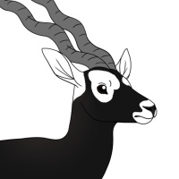 Thumbnail for ANI-4998: Blackbuck (M)