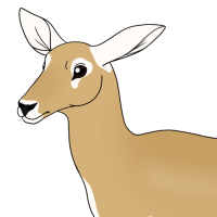 Thumbnail for ANI-5000: Blackbuck (F)