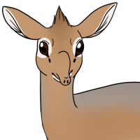 Thumbnail for ANI-5005: Kirk's Dik Dik (F)