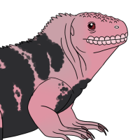 Thumbnail for ANI-5009: Pink Iguana (M)