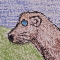 Thumbnail for ANI-5015: Sea Mink (M)