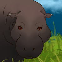 Thumbnail for ANI-5020: Pygmy Hippopotamus (M)