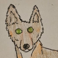 Thumbnail for ANI-5031: Katara