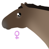 Thumbnail for ANI-5033: Przewalski's Horse (F)