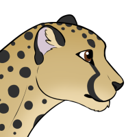 Thumbnail of ANI-5037: Jason