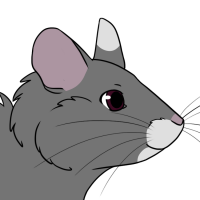 Thumbnail for ANI-5048: Shelly