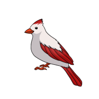 Thumbnail for ANI-5053: Northern Cardinal (F)