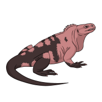 Thumbnail image for ANI-5054: Pinky