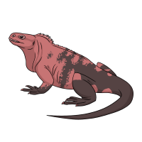 Thumbnail for ANI-5055: The Brain