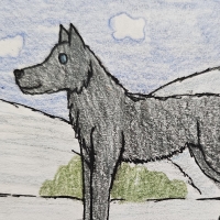 Thumbnail for ANI-5059: Vinny