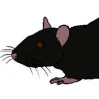 Thumbnail for ANI-5064: Miracle