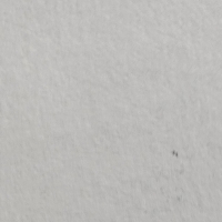 Thumbnail for ANI-5068: Bramble