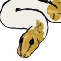 Thumbnail image for ANI-5072: Baylor