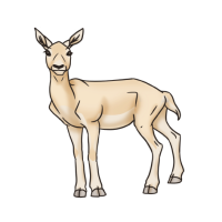 Thumbnail for ANI-5086: Crema