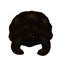 Thumbnail for ANI-5087: Void