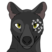 Thumbnail for ANI-5093: Midnight