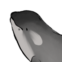 Thumbnail for ANI-5097: Nuniq