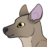 Thumbnail for ANI-5100: Biscuit