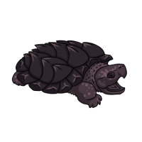 Thumbnail for ANI-5107: Flora (Macrochelys temminckii)