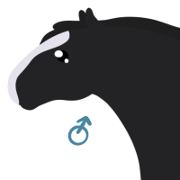 Thumbnail for ANI-5110: Domestic Horse Shire (M)