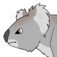 Thumbnail for ANI-5126: Bindi