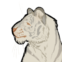 Thumbnail for ANI-5128: Koshka