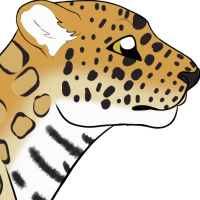 Thumbnail for ANI-5136: Rafiya