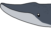 Thumbnail for ANI-5145: Sonata