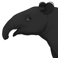Thumbnail for ANI-5166: Malayan Tapir (F)