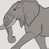 Thumbnail for ANI-1436: Ua (F)